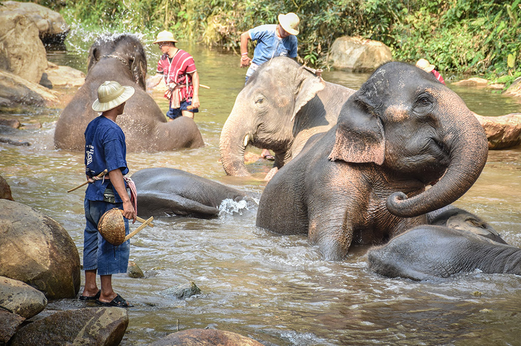 Thailand Golf Expedition - Top Courses